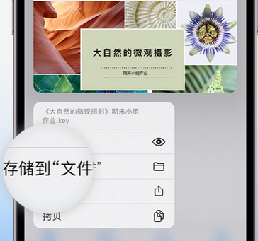 措美apple维修中心分享iPhone文件应用中存储和找到下载文件