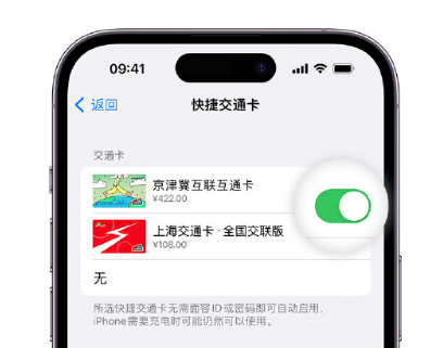 措美apple维修点分享iPhone上更换Apple Pay快捷交通卡手绘卡面 