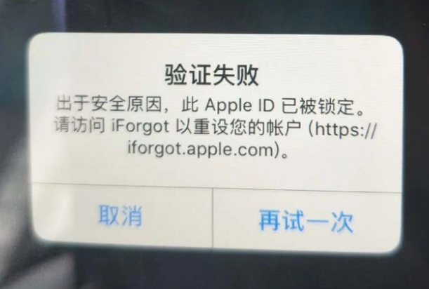 措美iPhone维修分享iPhone上正常登录或使用AppleID怎么办 