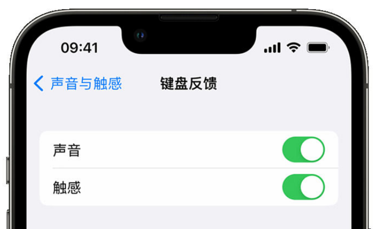 措美苹果手机维修分享iPhone 14触感键盘使用方法 