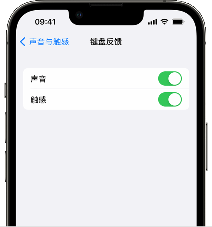 措美苹果14维修店分享如何在 iPhone 14 机型中使用触感键盘 