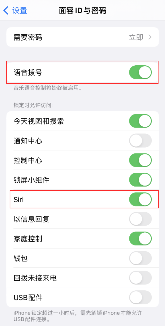 措美苹果维修网点分享不解锁 iPhone 的情况下通过 Siri 拨打电话的方法 