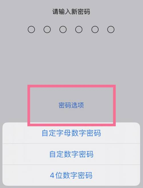 措美苹果14维修分享iPhone 14plus设置密码的方法 