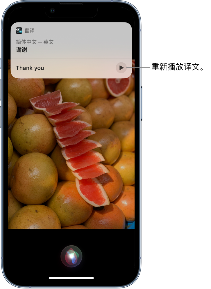 措美苹果14维修分享 iPhone 14 机型中使用 Siri：了解 Siri 能帮你做什么 