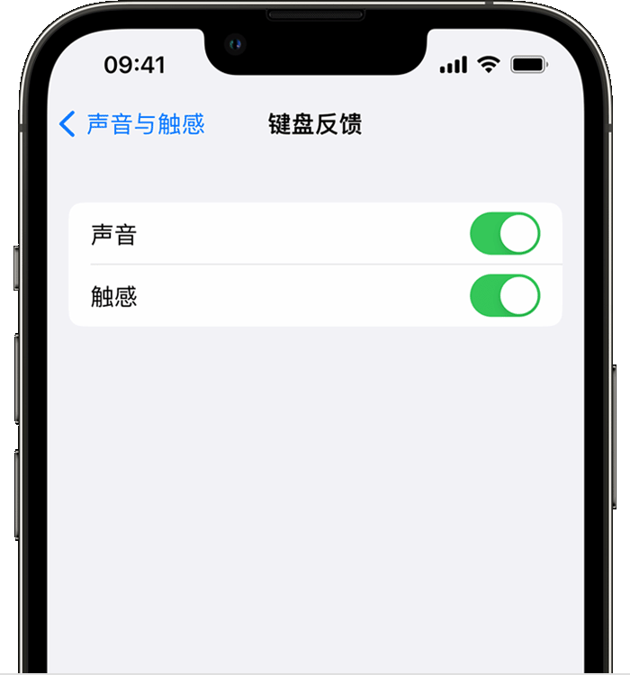 措美苹果14维修分享iPhone 14 系列机型如何开启键盘声音或触感反馈 
