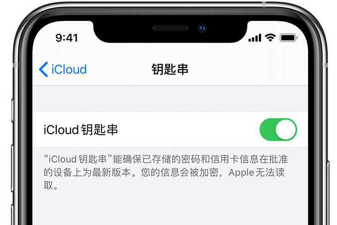 措美苹果手机维修分享在 iPhone 上开启 iCloud 钥匙串之后会储存哪些信息 