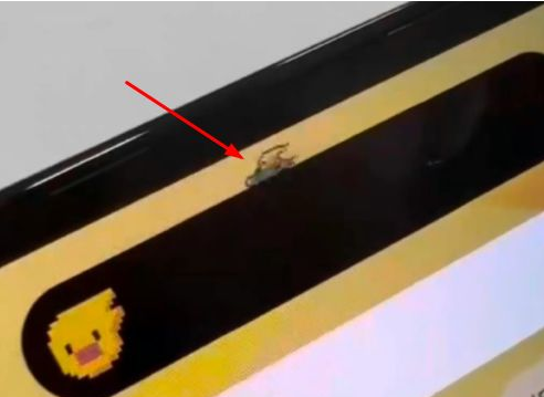 措美苹果14维修分享iPhone 14 Pro Max灵动岛怎么养宠物 