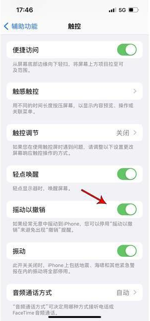 措美苹果手机维修分享iPhone手机如何设置摇一摇删除文字 