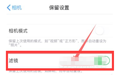 措美苹果13维修分享iPhone13拍照有绿点是怎么回事 