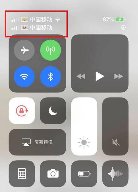措美苹果手机维修分享为 iPhone 12 双卡设置标签 